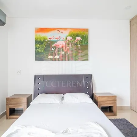 Apartamento Edificio Nuevo De Lujo Bocagrande Cartagena